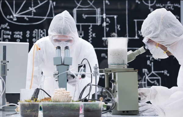 某化学工程项目定制款电蒸汽发生器使用案例！